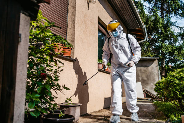 Best Termite Control Services  in Rossville, MD