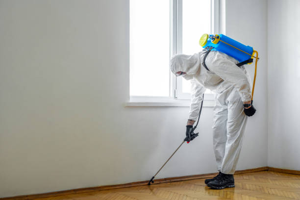 Professional Pest Control in Rossville, MD